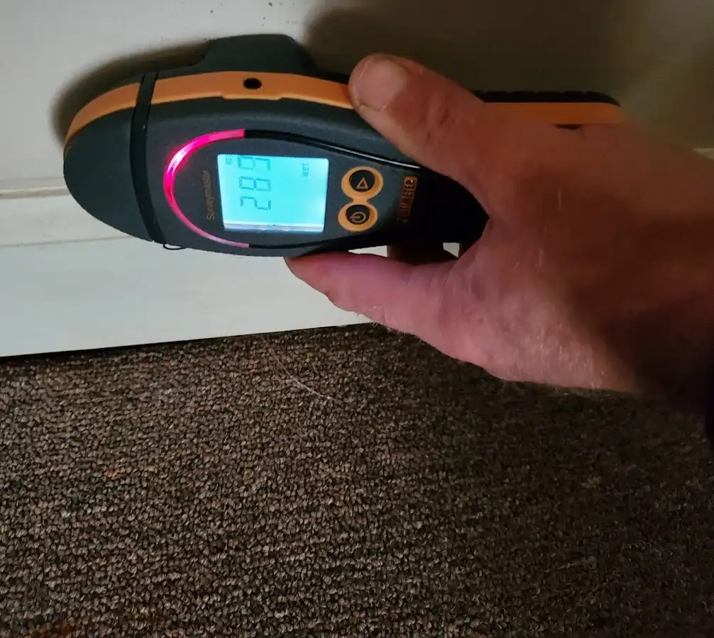 Moisture detection at baseboard during Sewage Cleanup & Sanitation in Greenburgh