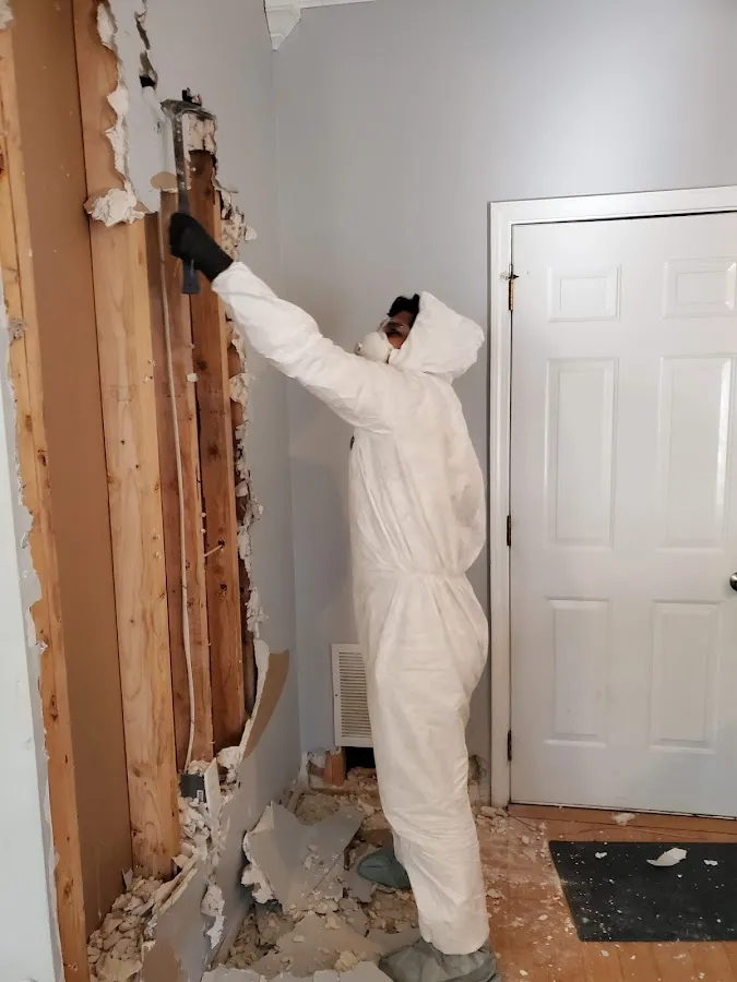 Mold Remediation & Removal in Greenburgh, NY